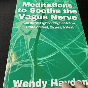 Meditations to soothe the Vagus Nerve book by Wendy Hayden